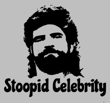Stoopid Celebrity T Shirt Grey/Black (Small)