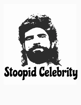 StoopidCelebrity
